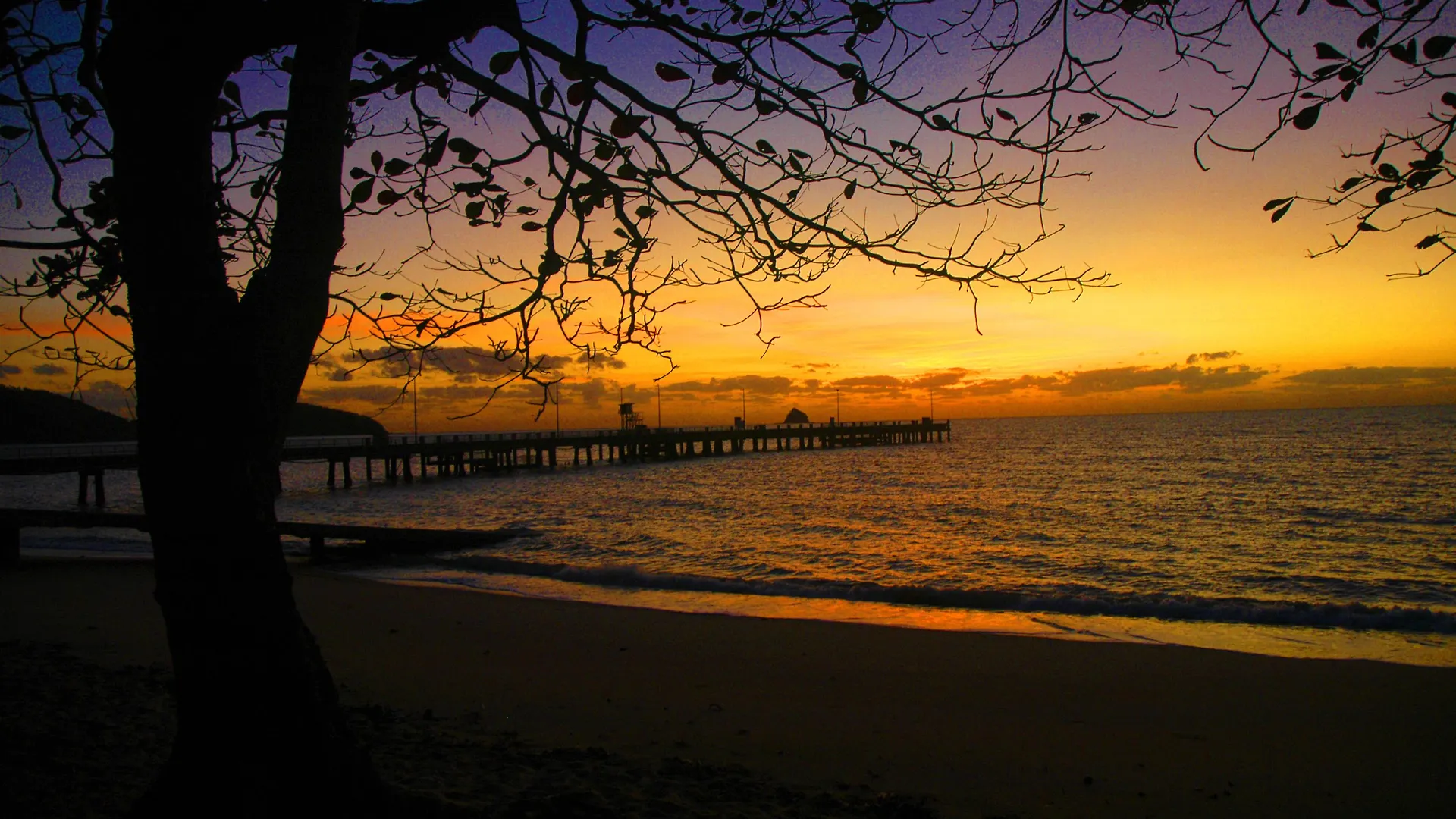 Resort The Reef Retreat Palm Cove Hotel