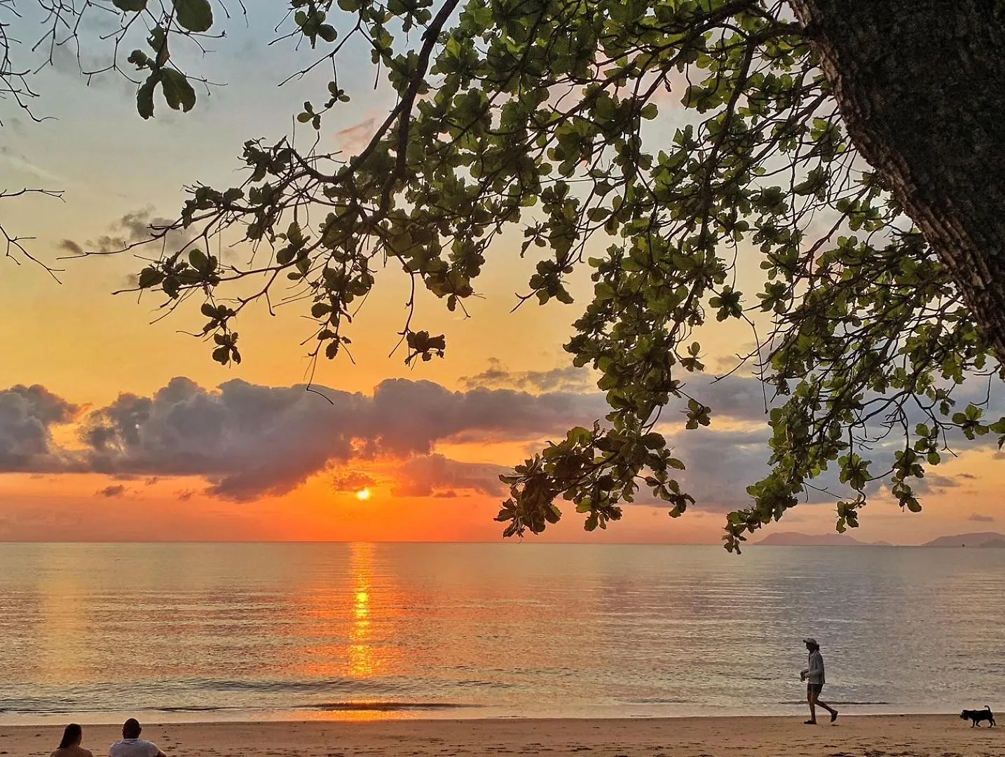 The Reef Retreat Palm Cove Hotell 4*,  Australien